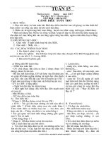 giáo an lơp 4(PP- ND) tuan 11-20