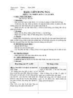 Giáo án HK II lớp 11_ Ban Cơ bản