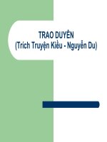Tiết 85 : Trao duyên