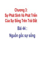 nguồn gốc sự sống