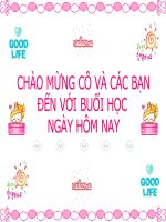 Bài 38: Các nhân tố ảnh hưởng đến sinh trưởng và phát triển ở động vật
