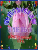 HĐNGLL tháng 10 : Thi tìm hiểu thư Bác Hồ