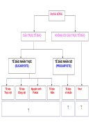 Kiến thức bổ sung