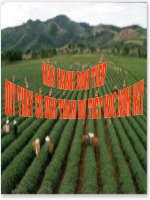 tổng kết chương XXII