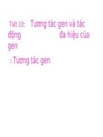 tương tác gen