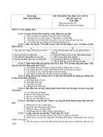 Đề thi học ki Iop 10 ngu van