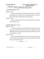 Đề thi HSG tỉnh Bảng A môn lịch sử