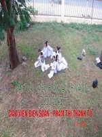 Ôn tập VHCM 1930-1945