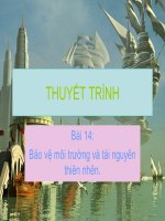 moi truong