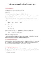 CÁC PHƯƠNG PHÁP CÂN BẰNG HÓA HỌC. NT