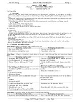 Bộ giáo án 10 Nâng cao (Vũ Kim Phượng)