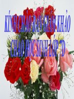 Bài 30: Nước cộng hòa xã hội chủ nghĩa việt nam