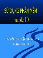 SỬ DỤNG PHẦN MỀM maple 10 DẠY HHKG