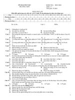 KTra 45'' - Ancol......đủ đáp án (chỉ việc in)