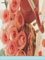 máu và môi trường trong cơ thể