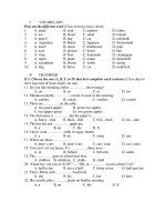 Kiem tra tieng anh trinh do A