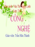 Nghành Thủy Sản