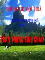 tác động của nội lực