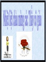 BAI GIANG DIEN TU VAT LI 11