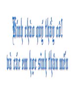 Bài 15 - Cuộc Đấu Tranh Giành Toàn Vẹn Lãnh Thổ Thống Nhất Đất Nước Đi Đến Thắng Lợi Hoàn Toàn (1973-1975)