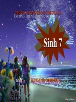 tiết 60 - đa dạng sinh học