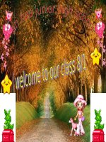 unit 8 :leson 1 :listen&read