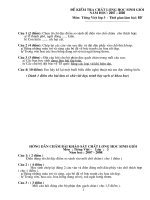 Đề thi HSG lớp 3