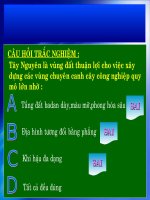 Một số bài trắc nghiệm lớp 12