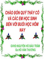 dan xuat halogen cua cac hidocacbon