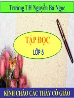 Kỳ diệu rừng xanh