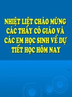 Bài ca nhà tranh bị gió thu phá