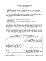 Bài 19: Từ trường