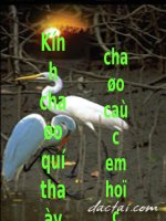đo bước sóng ánh sáng bước sóng và màu sắc ánh sáng