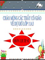 Khởi nghĩa Cần Vương