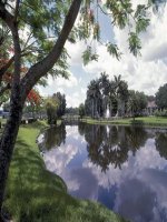 sinh san huu tinh o thuc vat