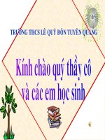 Cuộc thi Trí tuệ học đường