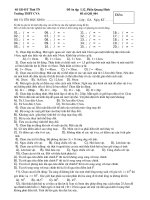 Đề,ĐA Ôn thi ĐH_Quang Hình_4