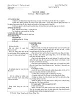 Giáo án Văn học nước ngoài