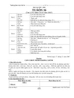 Giáo án lớp 2 tuần 16