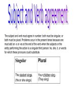 Subject and Verb Agreement
