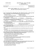 Đề thi cuối năm 11 - CT cơ bản- Bộ đề 2