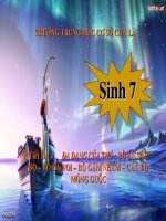 tiết 51-đa dạng của thú (tt)