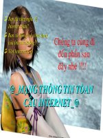 ba`j 21_Mạng thông tin toàn cầu Internet
