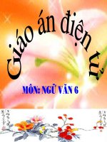 Tiết 103: Cô Tô