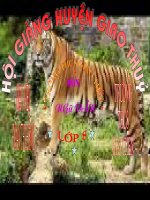 Nho rung tiet 74 (cuc hay)