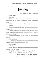 soạn giảng: Tấm Cám