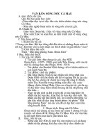 Sông Nước Cà Mau