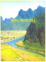 Động Phong Nha