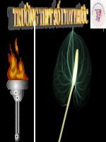 Ngoại khóa văn học 10