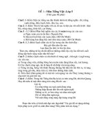 De thi HSG Toan_TiengViet5